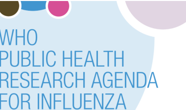 WHO Meeting on the Update of the Public Health Research Agenda for Influenza