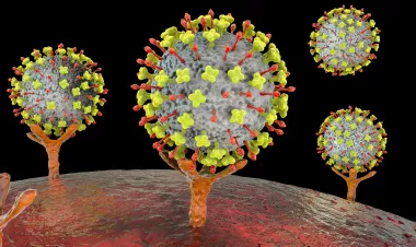 New human trials for novel antibody offer hope for immediate protection against deadly Nipah