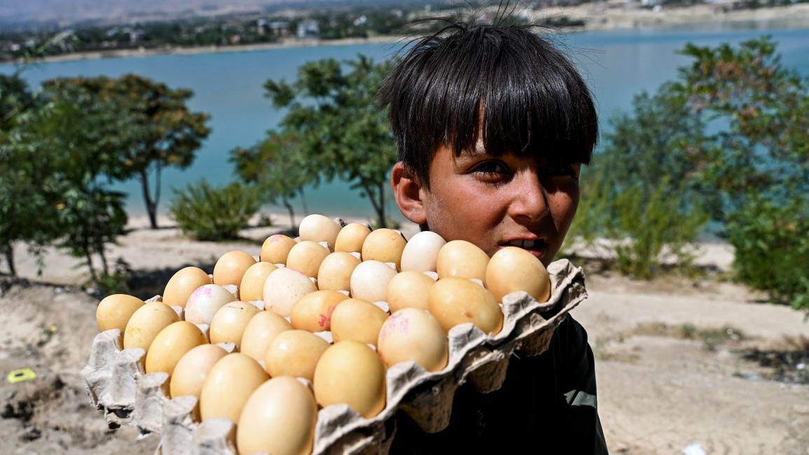 أفغانستان: كثرة الإنجاب أحد أسباب سوء تغذية الأطفال