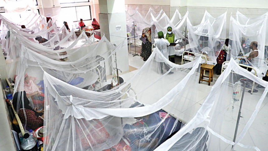 Dengue claims 6 lives in a day