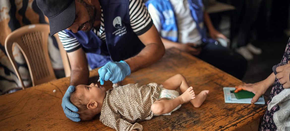 Gaza: WHO chief hails ‘massive success’ of polio campaign amid tragic reality