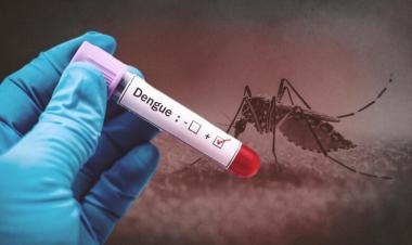 Dengue Cases Surge in Bangladesh Amidst Health Concerns