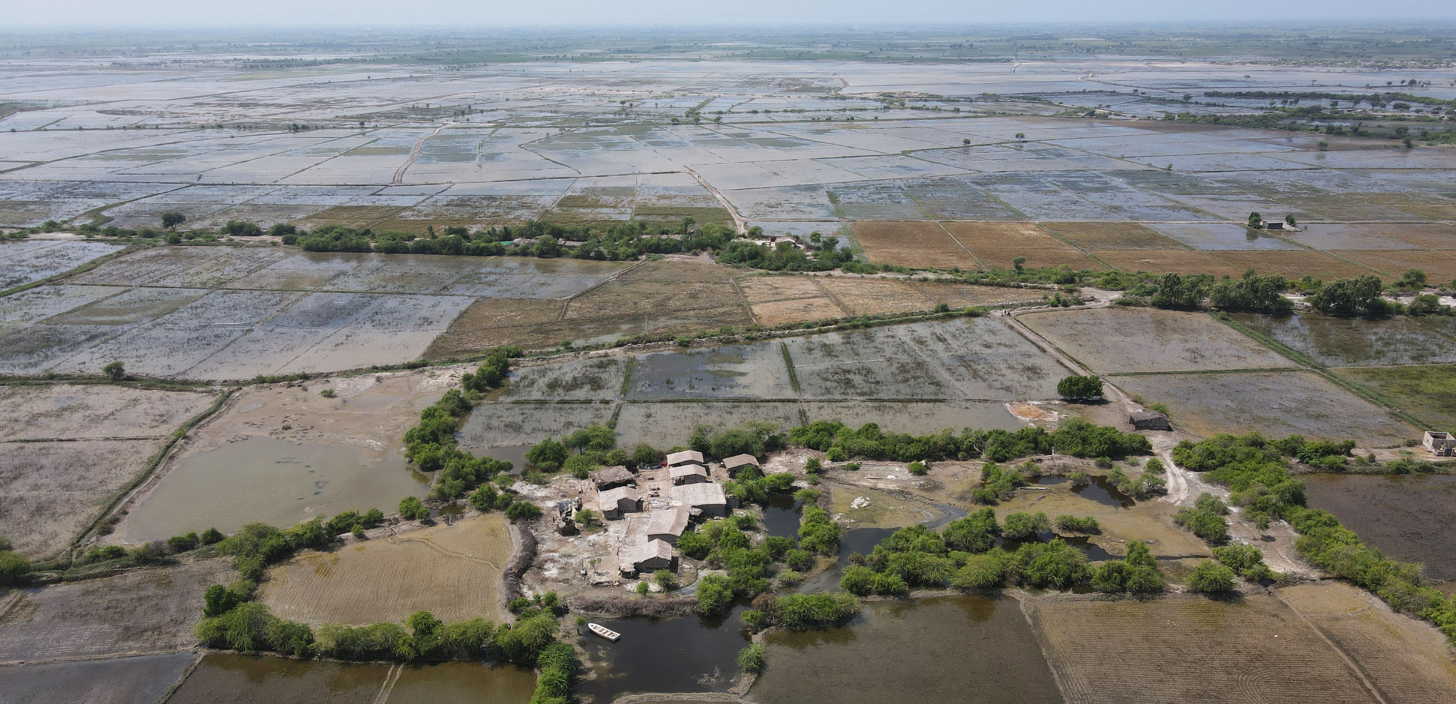 Pakistan: Flood survivors in Sindh province suffer disease and food insecurity amid government inaction – new testimony