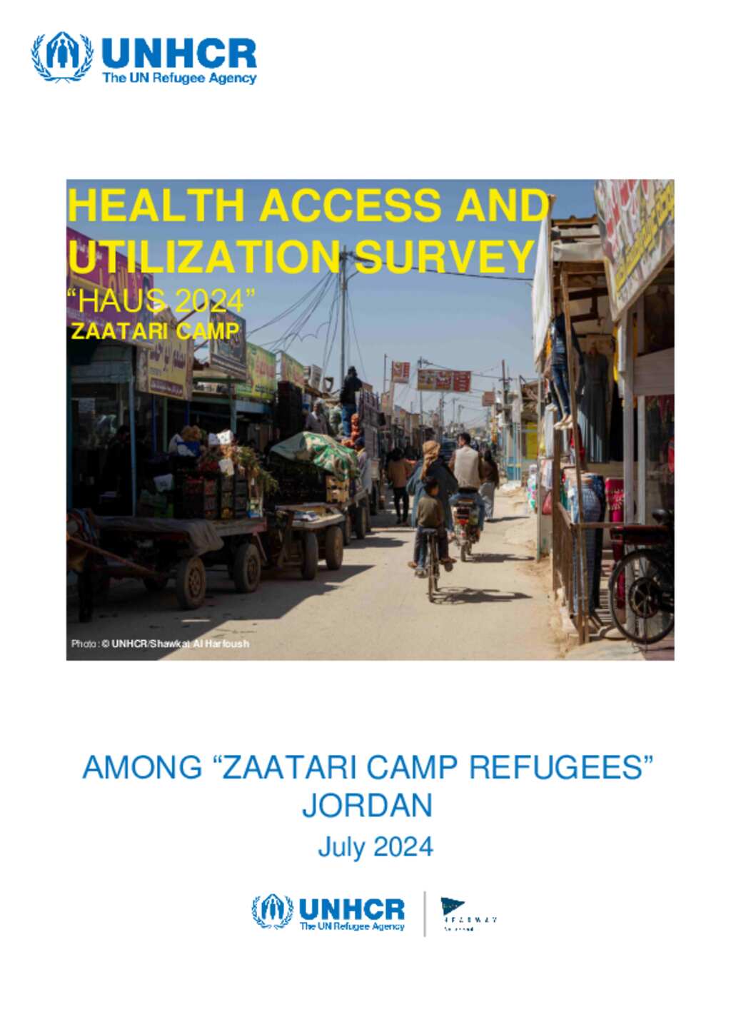 Health Access and Utilization Survey