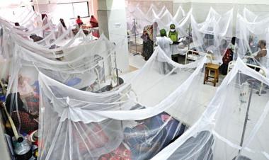 8 more die of dengue in Bangladesh