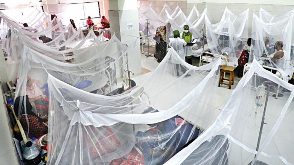 8 more die of dengue in Bangladesh