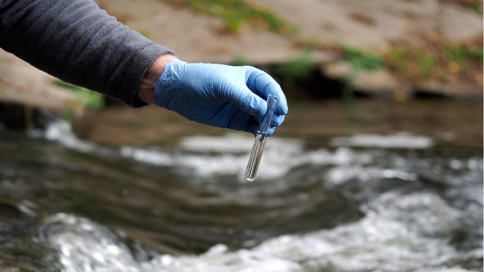 WHO affirms cholera threat in Lebanon as displaced populations grow