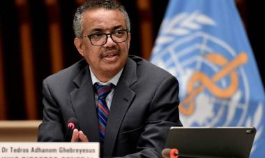 WHO Director-General Calls for Healthcare to be Actively Protected and Not Attacked