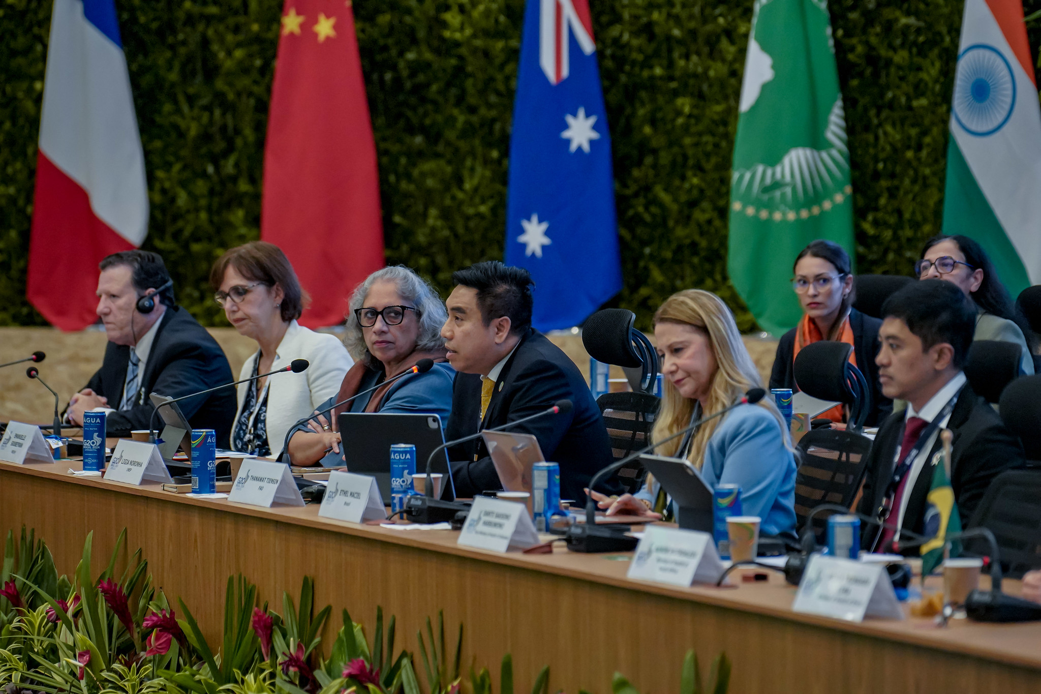 Quadripartite partners organize High-Level One Health Meeting in collaboration with the Brazil's Ministry of Health at the G20 Summit