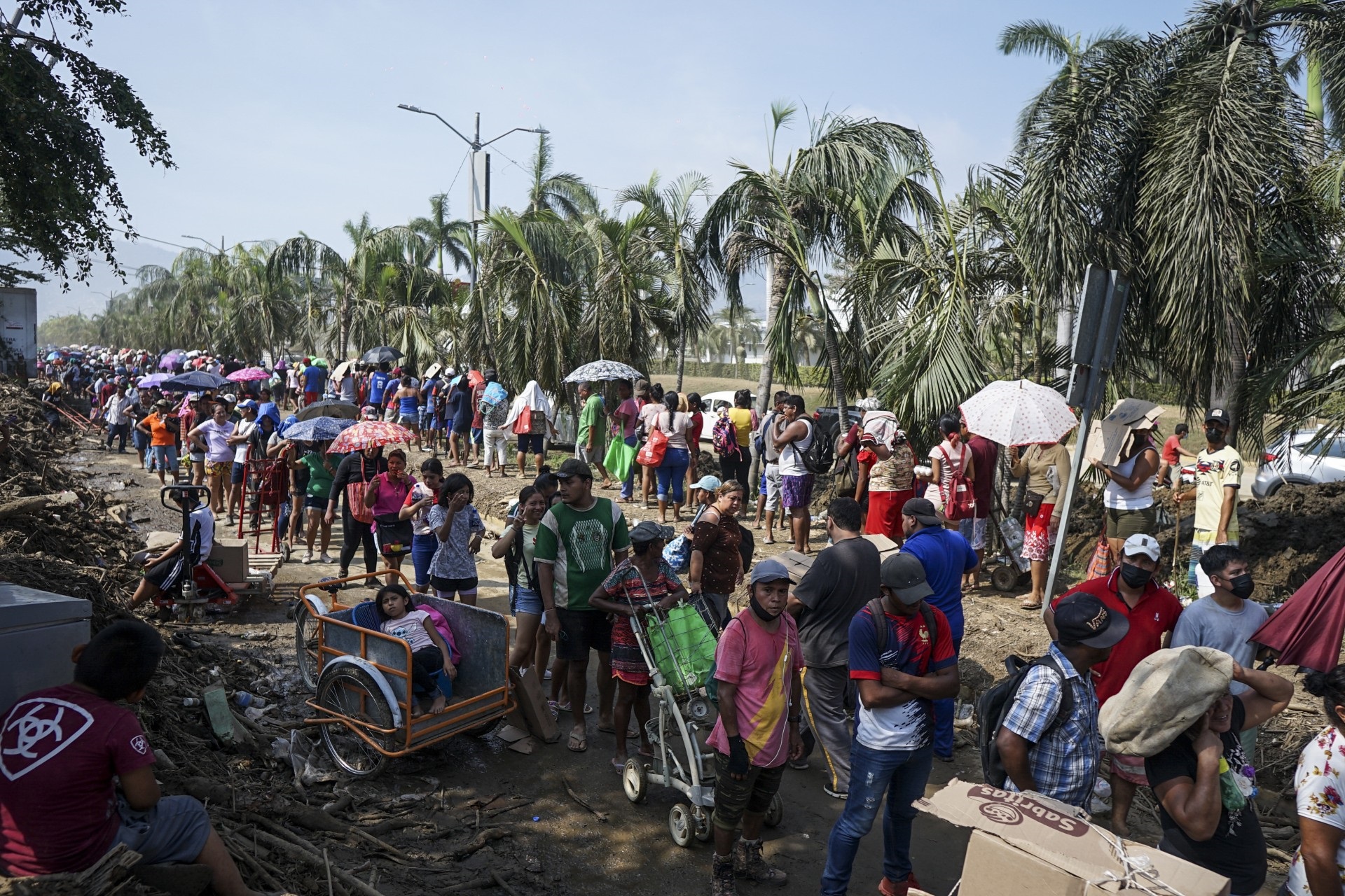 WHO demands urgent integration of health in climate negotiations ahead of COP29