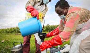 Post Pandemic: Wastewater-based Surveillance of Diseases Comes of Age 