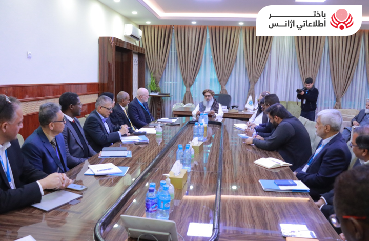 Public Health Ministry Discusses Strengthening Healthcare with International Organizations