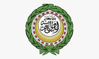 Arab League pledges 10 tons of medicines for health sector in Palestine