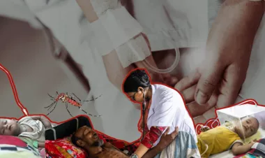 Two more die of dengue bringing death toll this year to 531