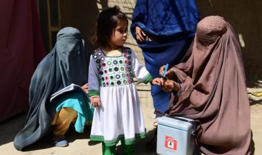 WHO reports 283% increase in polio cases in Afghanistan this year