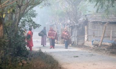 Severe cold grips country creating sufferings for people 