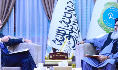 Minister of Public Health Meets with UK Diplomatic Representatives to Discuss Health Sector Cooperation