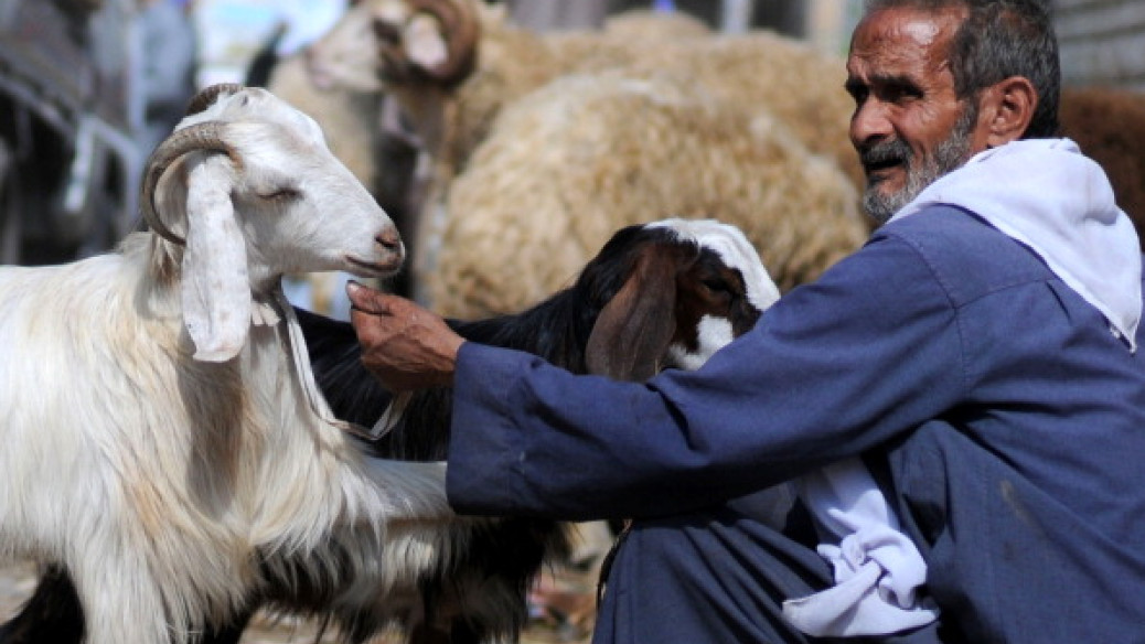 Iraq reports 30 deaths from viral haemorrhagic fever so far as infections rates rise