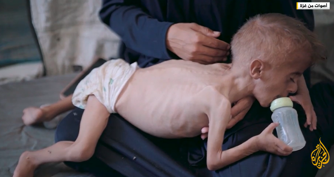 مرصد عالمي: المجاعة تتكشف في قطاع غزة