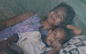 Timor-Leste certified malaria-free by WHO