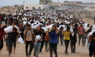 Seven more malnutrition deaths reported in Gaza, as Hamas-run health ministry says 104 killed in 24 hours