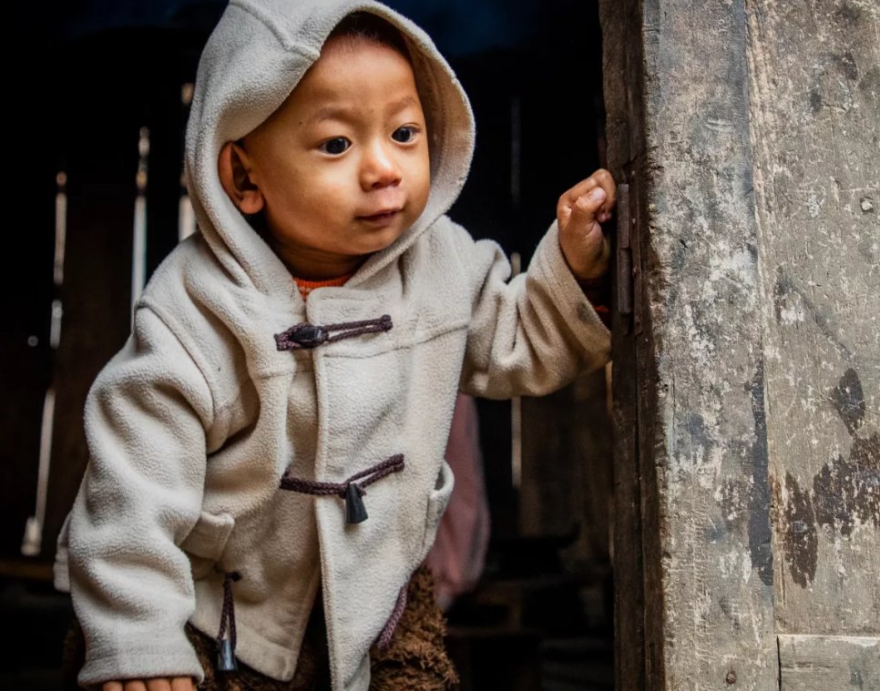 Global Thematic Funding Spotlight Reports 2024