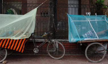 Bangladesh dengue deaths top 100, August could be worse