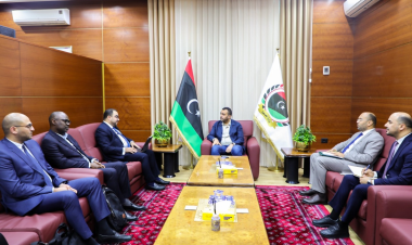 MoH discusses with ACDC combating transboundary diseases