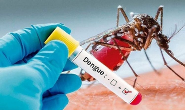 Health officials report 470 fresh cases of dengue inflection overnight