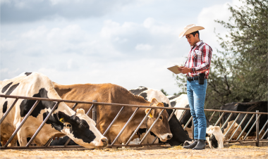 New World screwworm continues to spread: WOAH calls for strong collaboration across livestock sectors and borders 