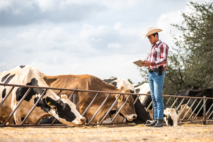 New World screwworm continues to spread: WOAH calls for strong collaboration across livestock sectors and borders 