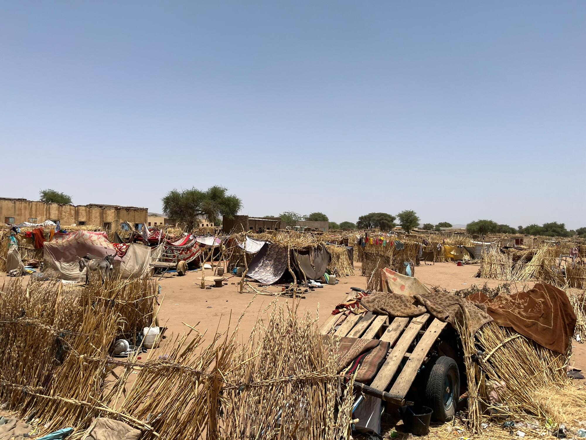 War fuels cholera outbreak across Sudan with MSF seeing over 2,300 patients and 40 dead in one week