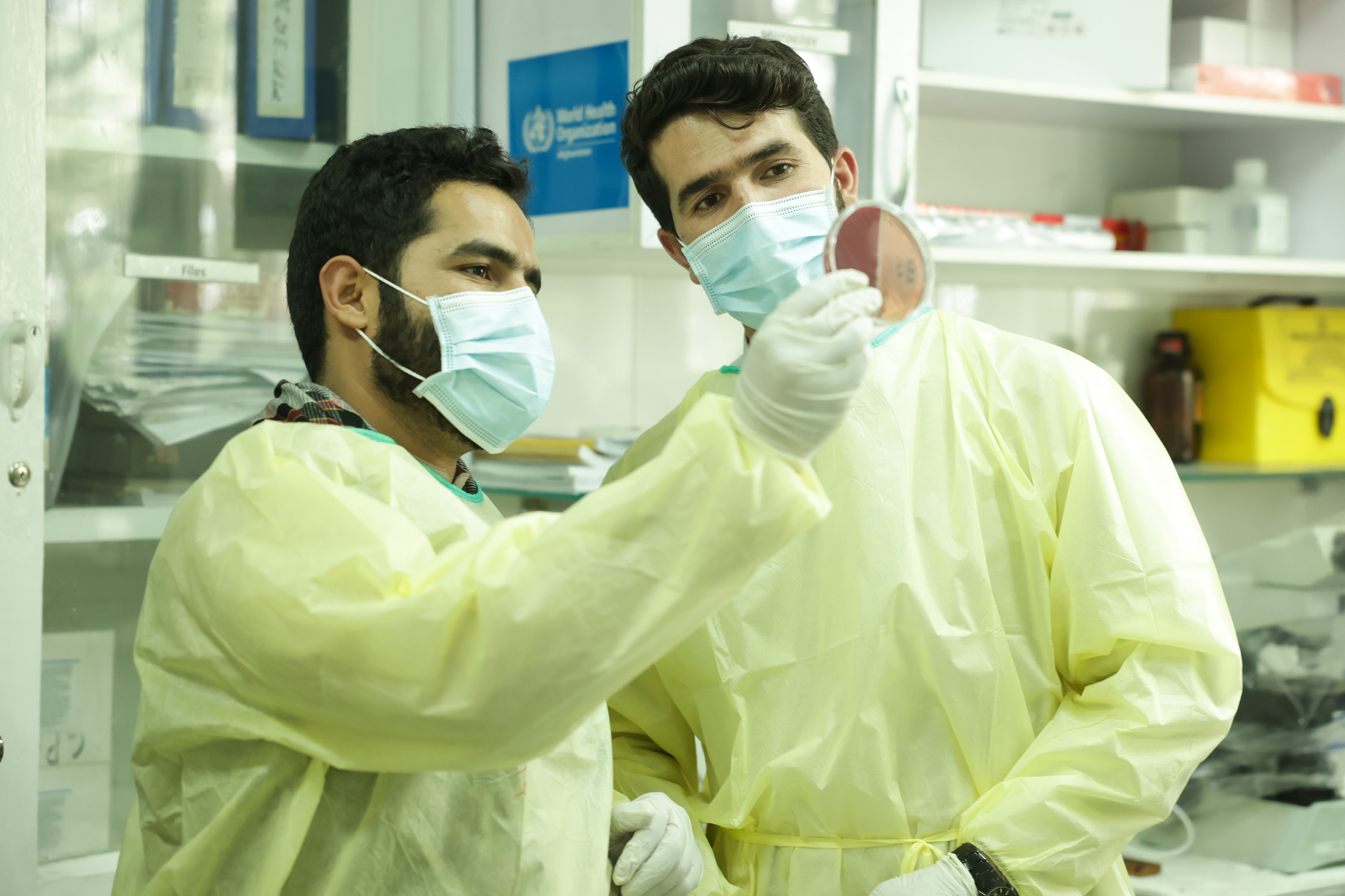 Member States review the draft Global Action Plan on Antimicrobial Resistance