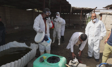 Bacterial contamination in Karbala water raises health alarm as authorities warn of serious risks