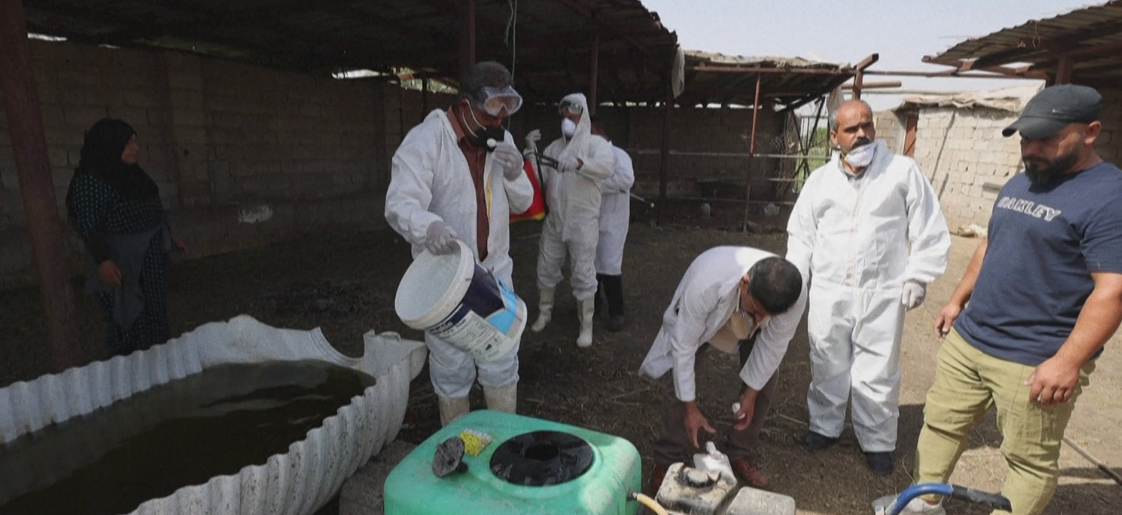 Bacterial contamination in Karbala water raises health alarm as authorities warn of serious risks