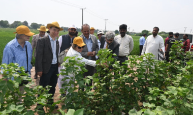 Atoms4Food Assessment Mission to Pakistan Releases Recommendations for Food Security