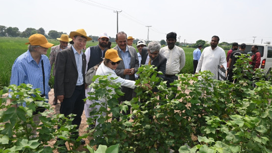 Atoms4Food Assessment Mission to Pakistan Releases Recommendations for Food Security