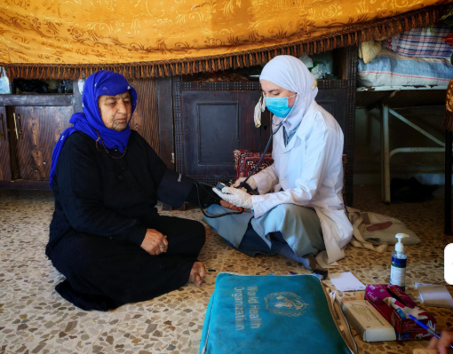 Empowering communities, saving lives: Syria’s caring for newborns and mothers at home programme
