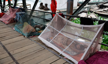 Bangladesh sees worst single-day surge in dengue cases and deaths this year