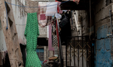 Yemen: heat, mosquitoes and emerging health threats