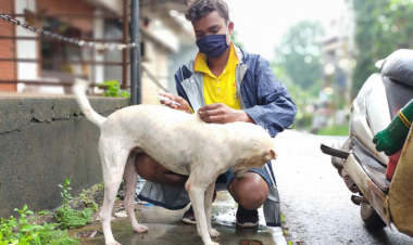 Partnering for a rabies-free future: integrating rabies control into national health priorities