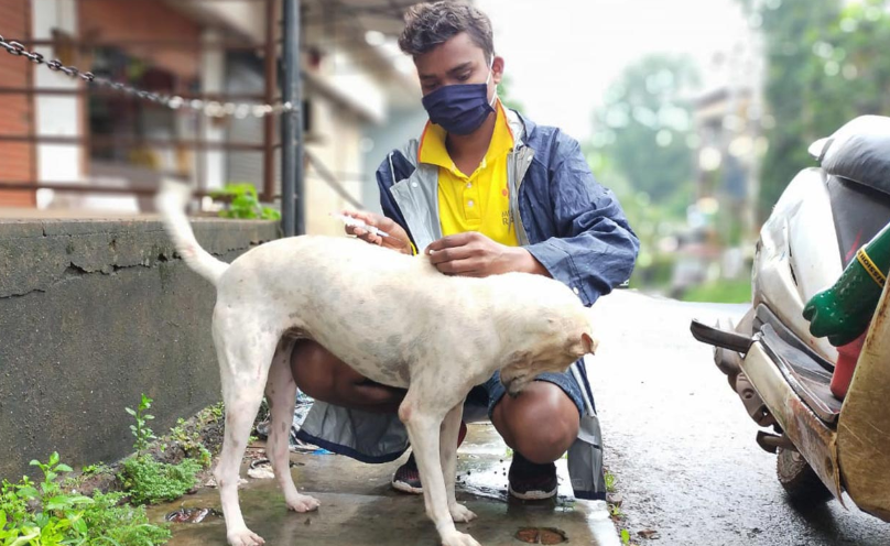 Partnering for a rabies-free future: integrating rabies control into national health priorities