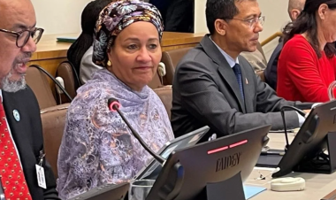 World leaders show strong support for political declaration on noncommunicable diseases and mental health