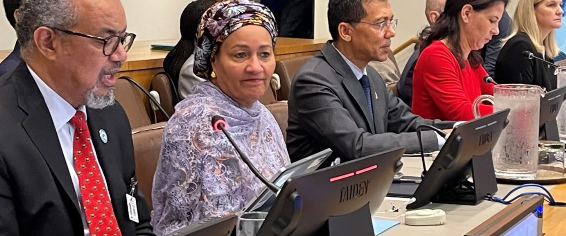 World leaders show strong support for political declaration on noncommunicable diseases and mental health