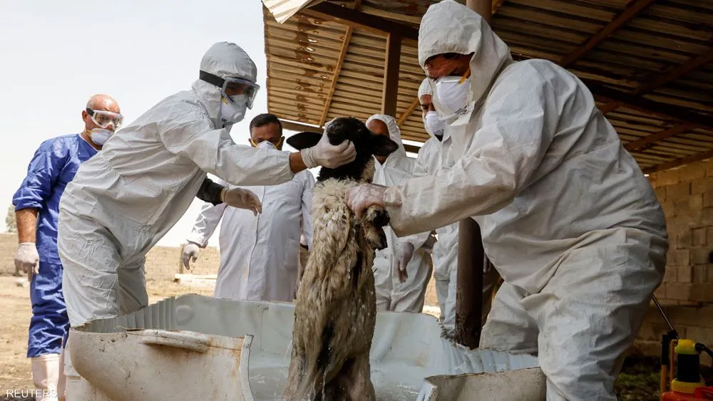 ارتفاع وفيات الحمى النزفية في العراق منذ مطلع العام