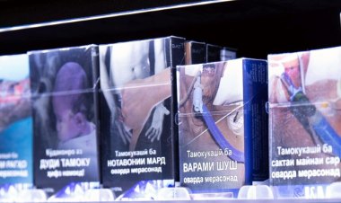 WHO tobacco trends report: 1 in 5 adults still addicted to tobacco