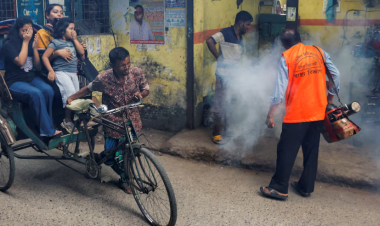 Dengue cases surge across Bangladesh as experts call for urgent action