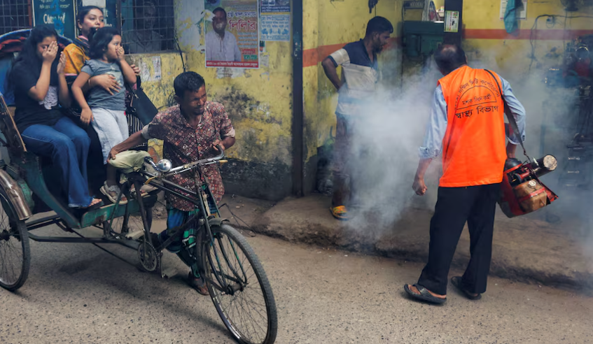 Dengue cases surge across Bangladesh as experts call for urgent action