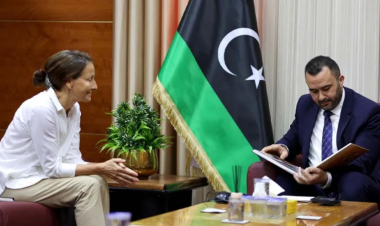 Libya, World Bank step up talks on health sector projects