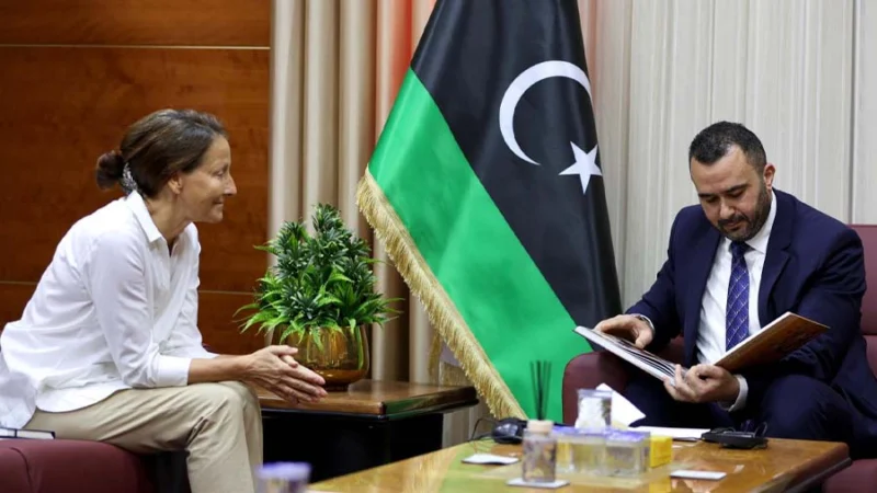 Libya, World Bank step up talks on health sector projects
